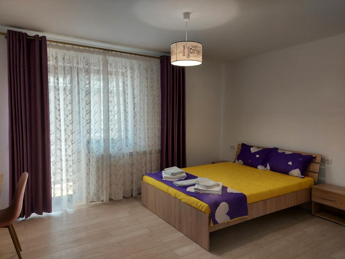 Apartament Bya Brown Valea Lupului  Zewnętrze zdjęcie